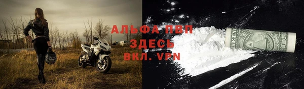 прущий лед Алзамай